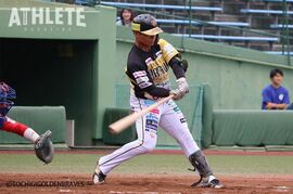 【ルートインBCリーグ】今季最終戦を迎える栃木ゴールデンブレーブスの見どころ