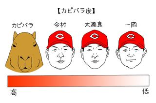 オギリマサホのゆるっとカープ論】〜その１〜今村・大瀬良・一岡の「カピバラ3兄弟」はいかにしてカピバラ となったか｜carp｜連載｜アスリートマガジンWEB(2/3)