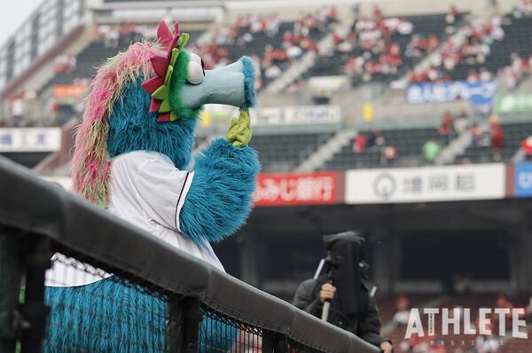 赤いシリーズ』に限定カチューシャ、赤ポンポン・・カープ『来場者