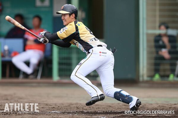 NPBバット　尾田剛樹　サムバット中日選手 NPBバット 尾田剛樹 - メルカリ