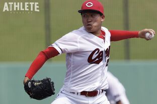 ZETT バッティンググローブ　引退した藤井彰人選手使用 ZETT バッティンググローブ 引退した藤井彰人選手使用 ZETT