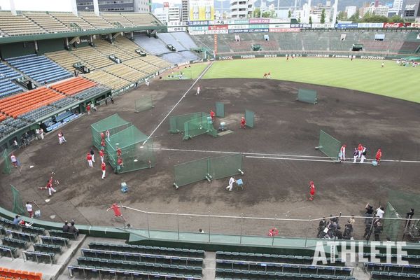 うのにもお得な情報満載！ カープCARP広島市民球場ＤＶＤ en-dining.co.jp