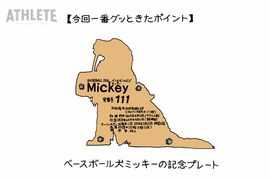 オギリマサホのゆるっとカープ論〜その37〜生まれて初めてのマツダスタジアム、気になるポイントを探してみた