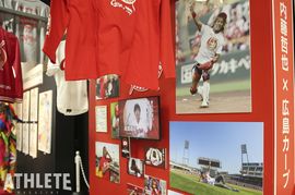 【7月23日開幕！】マリーナホップに“シンニチイズム”がやってくる！ 新日本プロレス50周年記念エキシビション開催