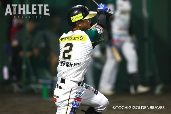 國學院栃木　野球部　ウィンドブレイカー 熊倉柚｜栃木ゴールデンブレーブス｜ルートインBCリーグ