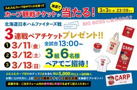 \オープン戦チケット当たる!/『ふむふむカープ坊や』のグッズを買って球場に行こう!特別企画スタート♪